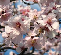 Előadás dátuma, címe, időpontja, helye